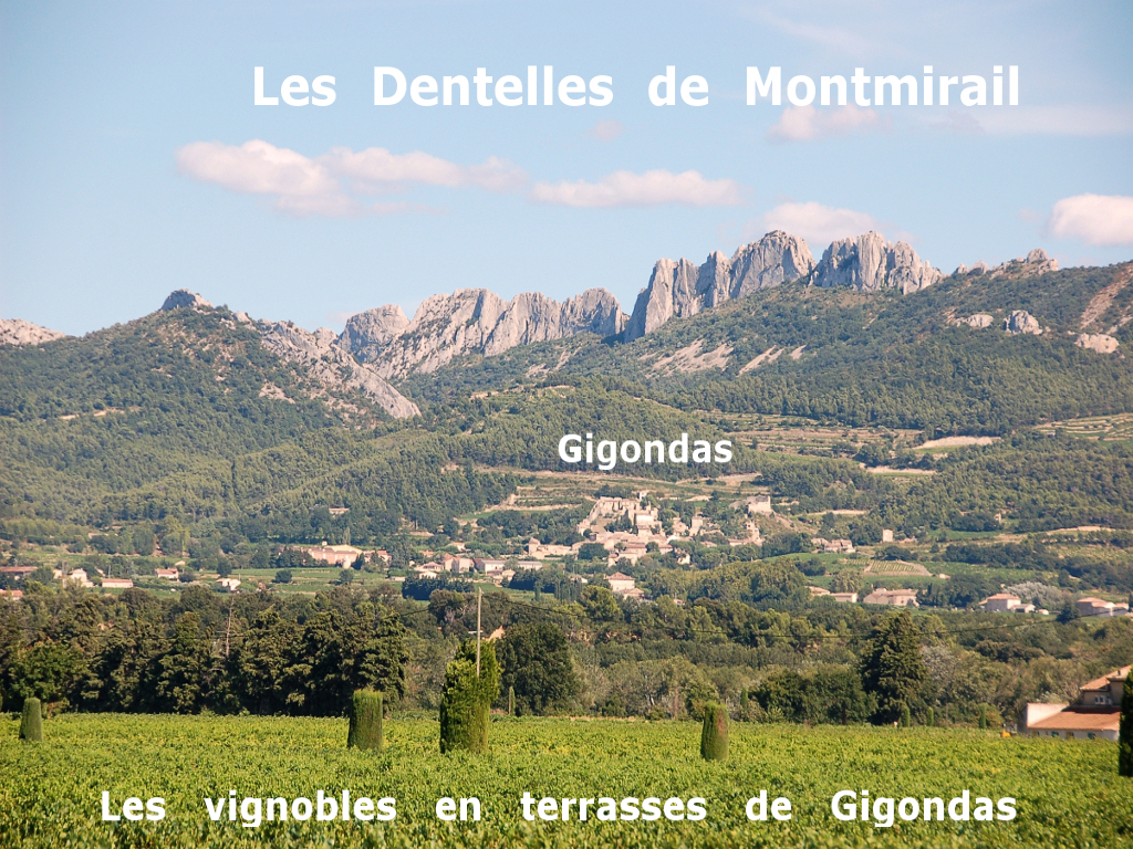 01100-DentelleMontmirail-y2